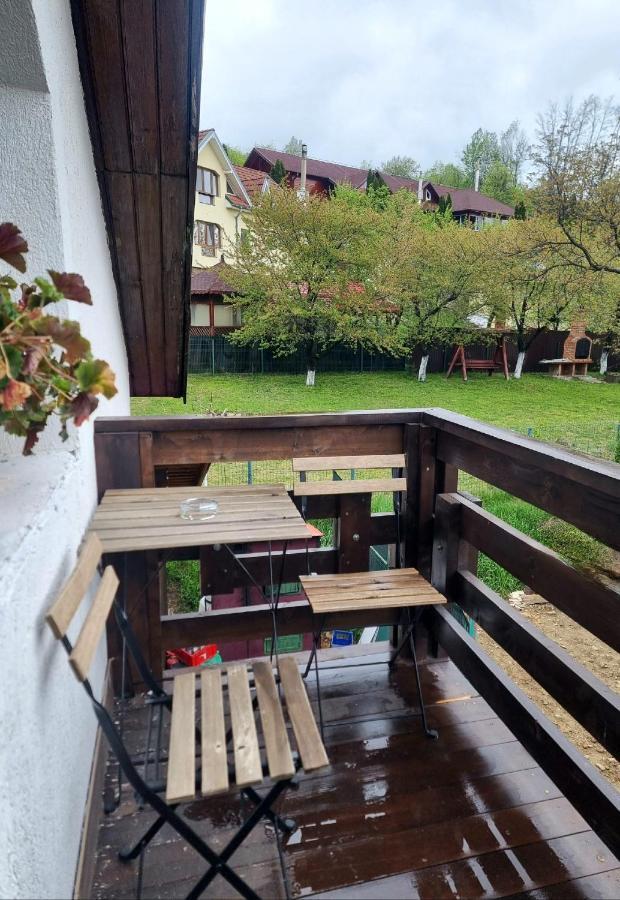 Pensiunea Tobo Baia de Fier Exteriér fotografie