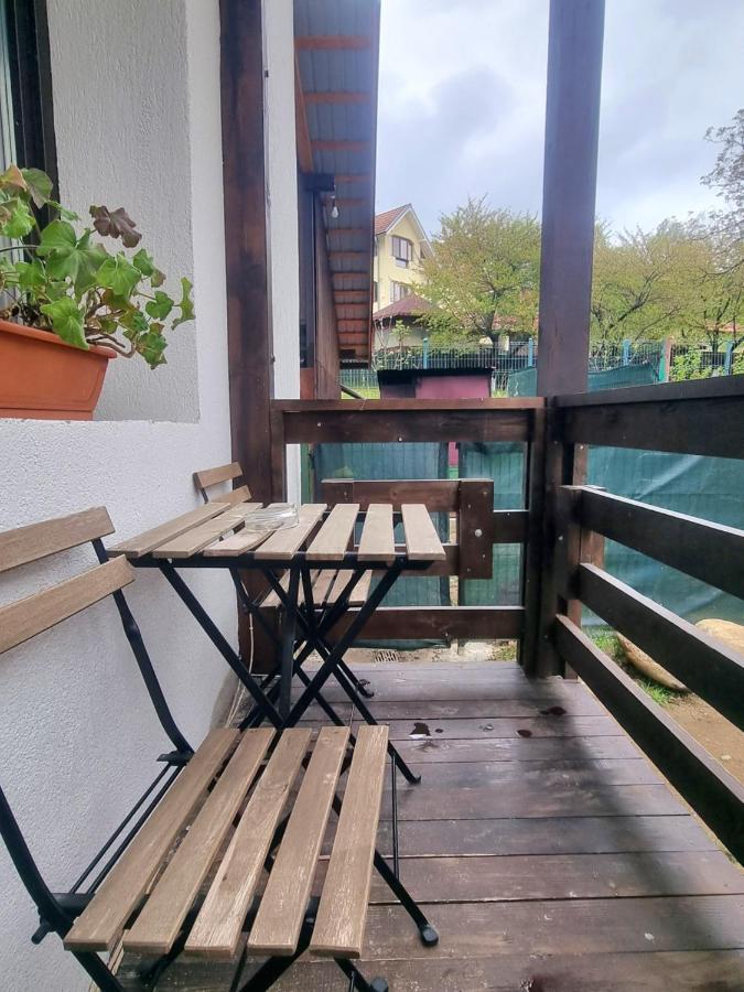 Pensiunea Tobo Baia de Fier Exteriér fotografie