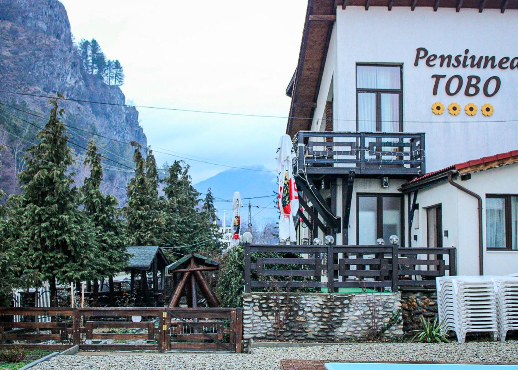 Pensiunea Tobo Baia de Fier Exteriér fotografie