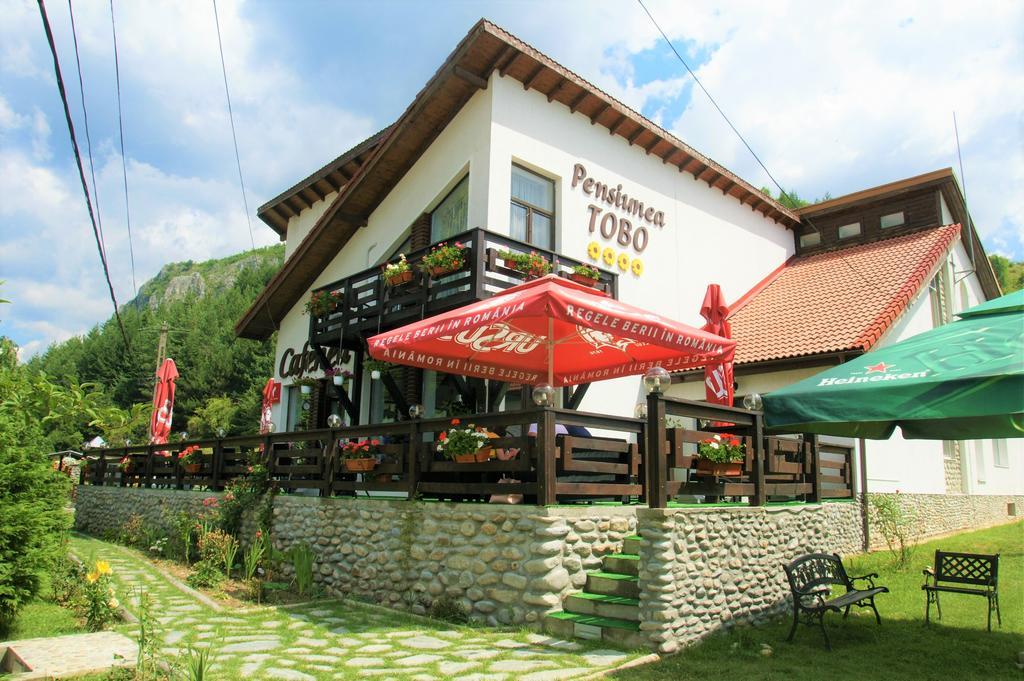 Pensiunea Tobo Baia de Fier Exteriér fotografie