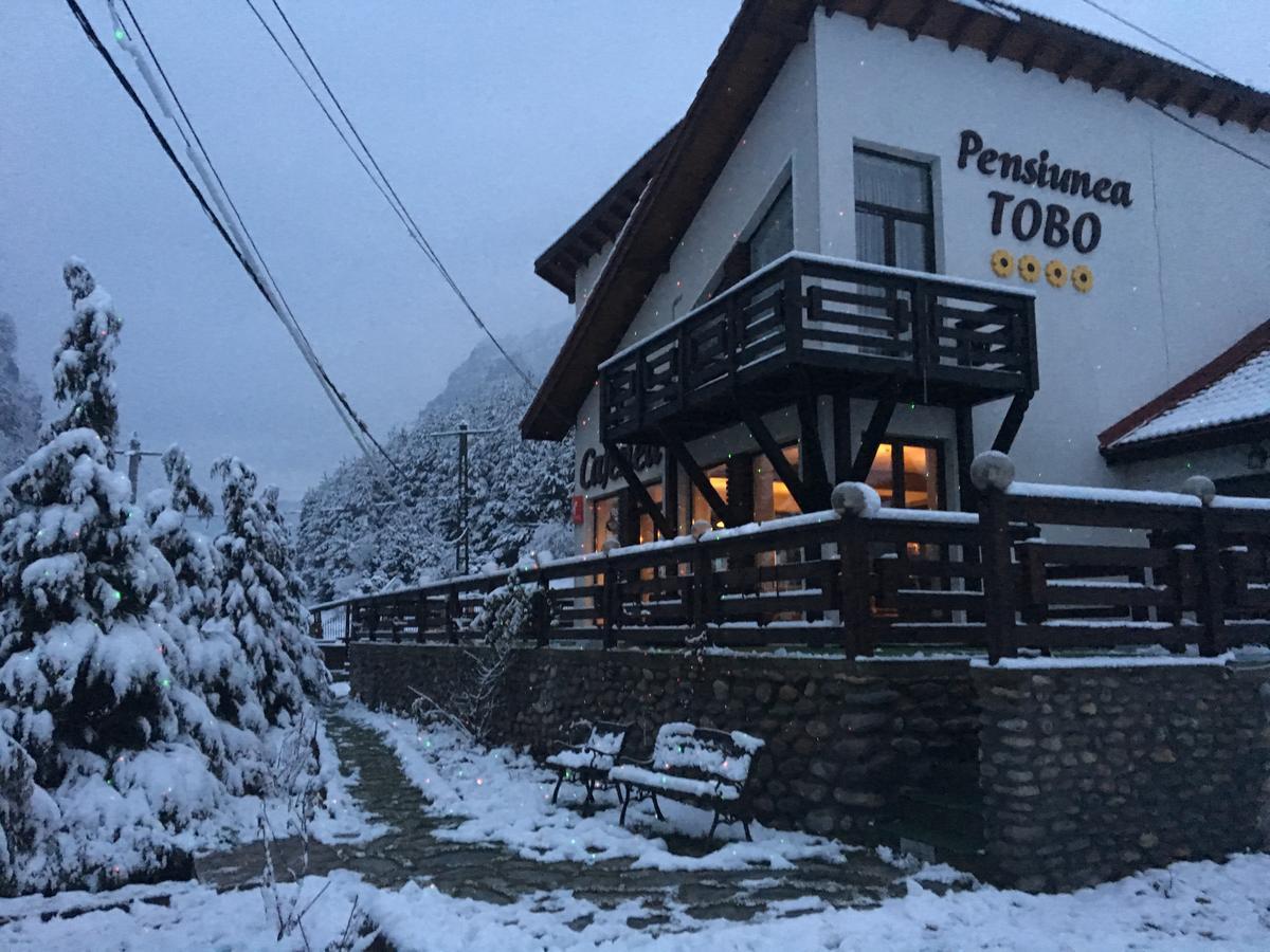 Pensiunea Tobo Baia de Fier Exteriér fotografie